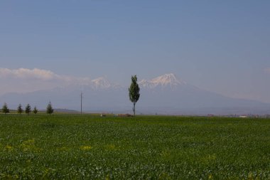Hasan Dağı ve çevresi