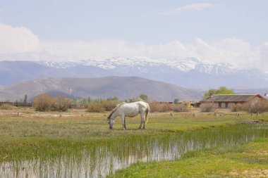 Kayseri Erciyes Dağı ve Çevresi