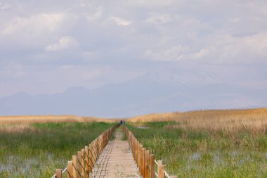 Kayseri Erciyes Dağı ve Çevresi