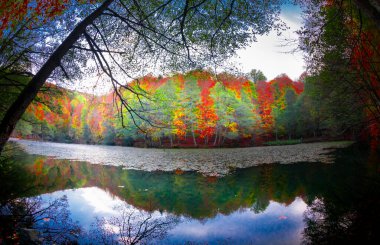 Bolu Seven Lakes Ulusal Parkı / Türkiye