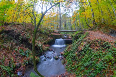 Bolu Seven Lakes Ulusal Parkı / Türkiye