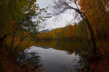 Bolu Seven Lakes Ulusal Parkı / Türkiye