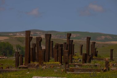 Bitlis 'in Ahlat ilçesinde yer alan Ahlat Seljuk Mezarlığı, Orta Çağ' dan kalma dünyanın en büyük Türk-İslam mezarlığı..