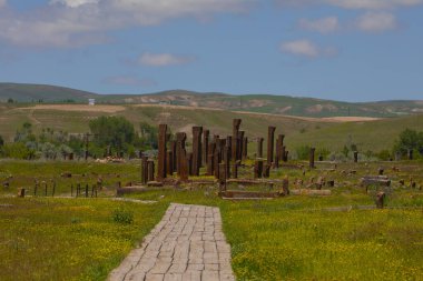 Bitlis 'in Ahlat ilçesinde yer alan Ahlat Seljuk Mezarlığı, Orta Çağ' dan kalma dünyanın en büyük Türk-İslam mezarlığı..