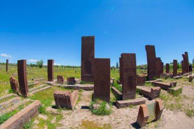 Bitlis 'in Ahlat ilçesinde yer alan Ahlat Seljuk Mezarlığı, Orta Çağ' dan kalma dünyanın en büyük Türk-İslam mezarlığı..