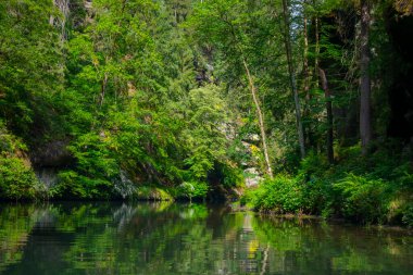 Saxon Switzerland National Park is a national park in the German state of Saxony, very close to the state capital Dresden.