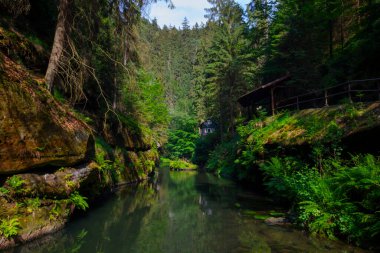 Saxon Switzerland National Park is a national park in the German state of Saxony, very close to the state capital Dresden.