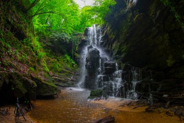 Dağ pınarı şelalesi ve doğal hayat, Bursa