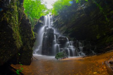 Dağ pınarı şelalesi ve doğal hayat, Bursa