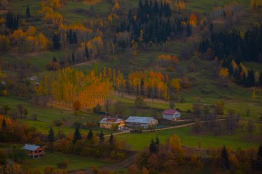 Savsat, Artvin ilindeki Karadeniz bölgesinde, Trkiye 'nin en doğu ucunda, Gürcistan sınırında yer almaktadır..