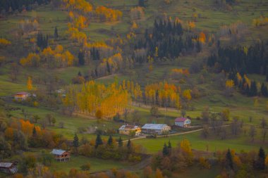 Savsat, Artvin ilindeki Karadeniz bölgesinde, Trkiye 'nin en doğu ucunda, Gürcistan sınırında yer almaktadır..