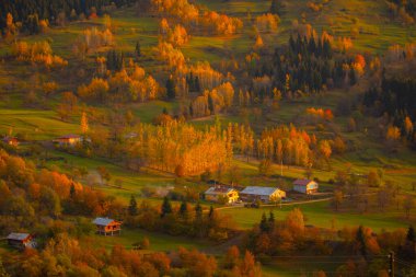 Savsat, Artvin ilindeki Karadeniz bölgesinde, Trkiye 'nin en doğu ucunda, Gürcistan sınırında yer almaktadır..