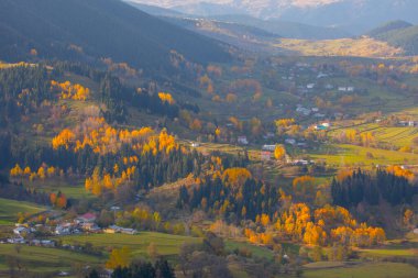 Savsat, Artvin ilindeki Karadeniz bölgesinde, Trkiye 'nin en doğu ucunda, Gürcistan sınırında yer almaktadır..