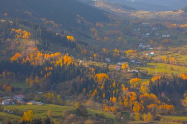 Savsat, Artvin ilindeki Karadeniz bölgesinde, Trkiye 'nin en doğu ucunda, Gürcistan sınırında yer almaktadır..