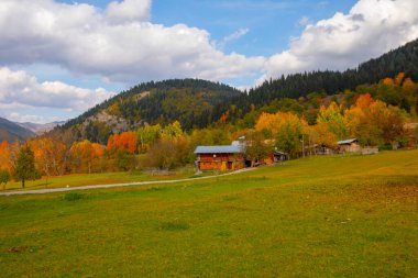 Savsat, Artvin ilindeki Karadeniz bölgesinde, Trkiye 'nin en doğu ucunda, Gürcistan sınırında yer almaktadır..