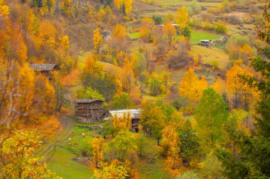 Savsat, Karadeniz Bölgesi 'nin doğu ucunda Artvin ilinin merkezi olan bir ilçedir..