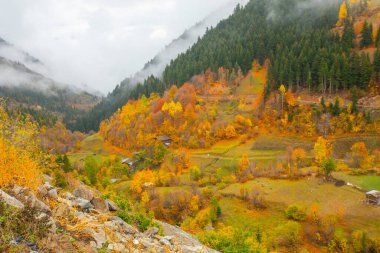 Savsat, Karadeniz Bölgesi 'nin doğu ucunda Artvin ilinin merkezi olan bir ilçedir..