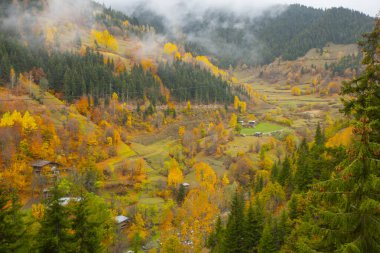 Savsat, Karadeniz Bölgesi 'nin doğu ucunda Artvin ilinin merkezi olan bir ilçedir..