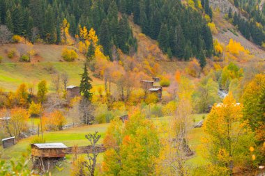 Savsat, Karadeniz Bölgesi 'nin doğu ucunda Artvin ilinin merkezi olan bir ilçedir..