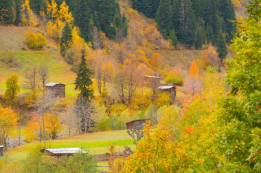 Savsat, Karadeniz Bölgesi 'nin doğu ucunda Artvin ilinin merkezi olan bir ilçedir..