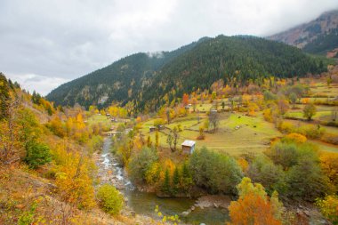 Savsat, Karadeniz Bölgesi 'nin doğu ucunda Artvin ilinin merkezi olan bir ilçedir..