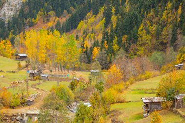 Savsat, Karadeniz Bölgesi 'nin doğu ucunda Artvin ilinin merkezi olan bir ilçedir..