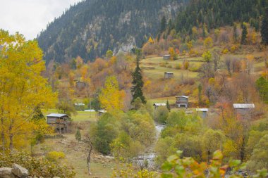 Savsat, Karadeniz Bölgesi 'nin doğu ucunda Artvin ilinin merkezi olan bir ilçedir..