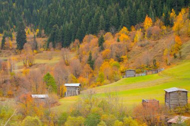 Savsat, Karadeniz Bölgesi 'nin doğu ucunda Artvin ilinin merkezi olan bir ilçedir..