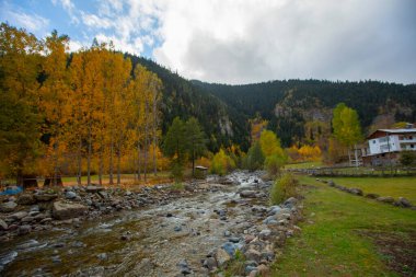 Savsat, Karadeniz Bölgesi 'nin doğu ucunda Artvin ilinin merkezi olan bir ilçedir..