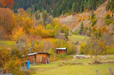 Savsat, Karadeniz Bölgesi 'nin doğu ucunda Artvin ilinin merkezi olan bir ilçedir..