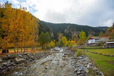 Savsat, Karadeniz Bölgesi 'nin doğu ucunda Artvin ilinin merkezi olan bir ilçedir..