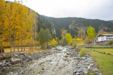 Savsat, Karadeniz Bölgesi 'nin doğu ucunda Artvin ilinin merkezi olan bir ilçedir..