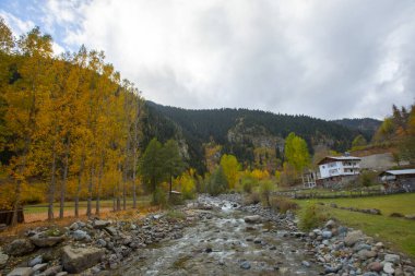 Savsat, Karadeniz Bölgesi 'nin doğu ucunda Artvin ilinin merkezi olan bir ilçedir..