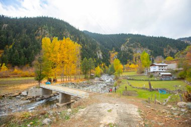 Savsat, Karadeniz Bölgesi 'nin doğu ucunda Artvin ilinin merkezi olan bir ilçedir..