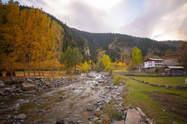 Savsat, Karadeniz Bölgesi 'nin doğu ucunda Artvin ilinin merkezi olan bir ilçedir..