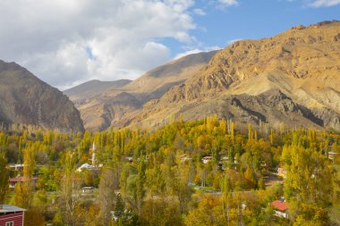 Savsat, Karadeniz Bölgesi 'nin doğu ucunda Artvin ilinin merkezi olan bir ilçedir..