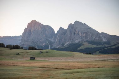 Alpe di Siusi Seiser Alm con la montaa Sassolungo