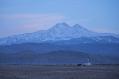 Kayseri vahşi atları ve Erciyes Dağı
