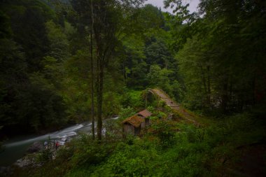 Kackar Dağları, kuzey Trkiye 'de doğu Karadeniz kıyısı boyunca uzanan bir sıradağdır. Kuzey Anadolu Dağları 'nın doğu kısmını oluştururlar..