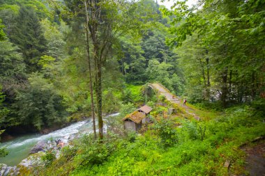 Kackar Dağları, kuzey Trkiye 'de doğu Karadeniz kıyısı boyunca uzanan bir sıradağdır. Kuzey Anadolu Dağları 'nın doğu kısmını oluştururlar..