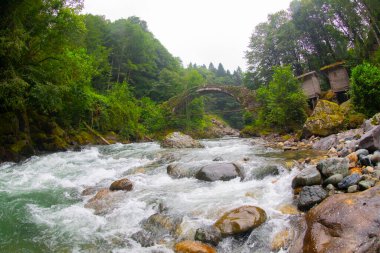 Kackar Dağları, kuzey Trkiye 'de doğu Karadeniz kıyısı boyunca uzanan bir sıradağdır. Kuzey Anadolu Dağları 'nın doğu kısmını oluştururlar..
