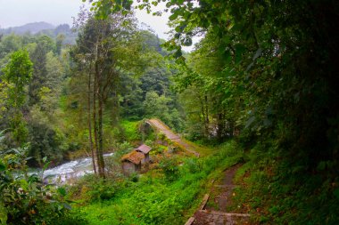 Kackar Dağları, kuzey Trkiye 'de doğu Karadeniz kıyısı boyunca uzanan bir sıradağdır. Kuzey Anadolu Dağları 'nın doğu kısmını oluştururlar..