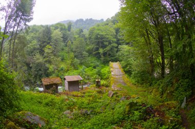 Kackar Dağları, kuzey Trkiye 'de doğu Karadeniz kıyısı boyunca uzanan bir sıradağdır. Kuzey Anadolu Dağları 'nın doğu kısmını oluştururlar..