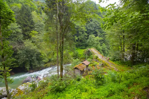 Kackar Dağları, kuzey Trkiye 'de doğu Karadeniz kıyısı boyunca uzanan bir sıradağdır. Kuzey Anadolu Dağları 'nın doğu kısmını oluştururlar..