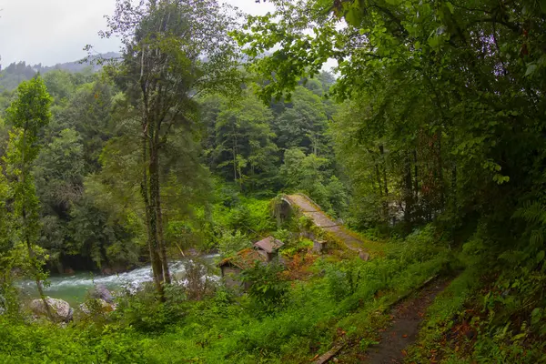 Kackar Dağları, kuzey Trkiye 'de doğu Karadeniz kıyısı boyunca uzanan bir sıradağdır. Kuzey Anadolu Dağları 'nın doğu kısmını oluştururlar..
