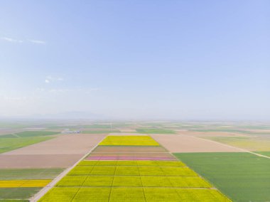 Konya lale alanları, hava manzarası