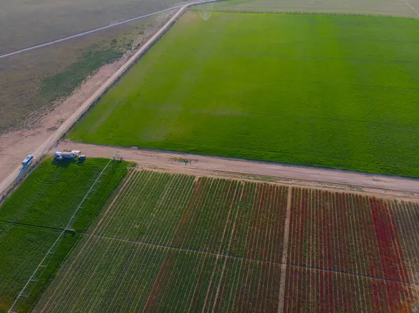 Konya lale alanları, hava manzarası