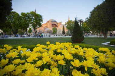 İstanbul 'un en güzel turistik bölgeleri lale festivalleri.