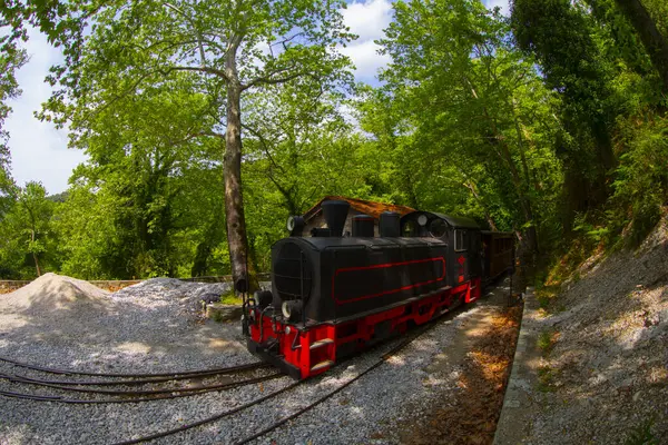 Pilio, Yunanistan 'daki Milies köyündeki güzel eski tren istasyonu.