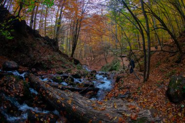 Yedigller Ulusal Parkı, Bolu ilinin sınırları içinde, doğal güzelliği ile ünlü, doğa severler ve gezginlerin favorisi haline geldi..